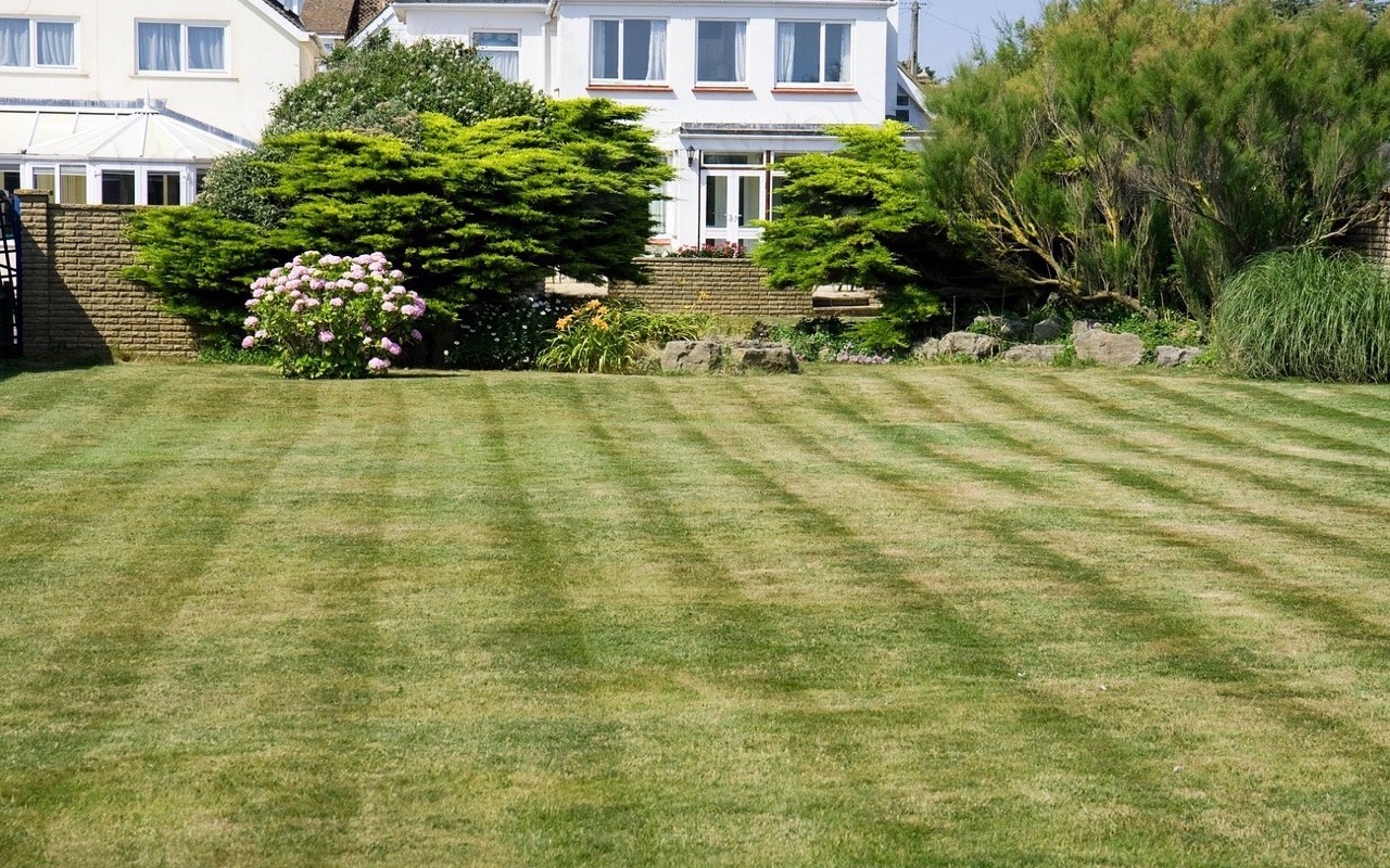 A freshly mown lawn with clean mower stripes running up to a house and mature planting beds.