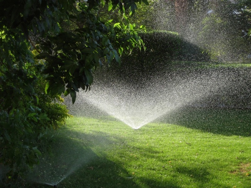 A pop-up sprinkler head throwing a wide fan of water across a lawn.